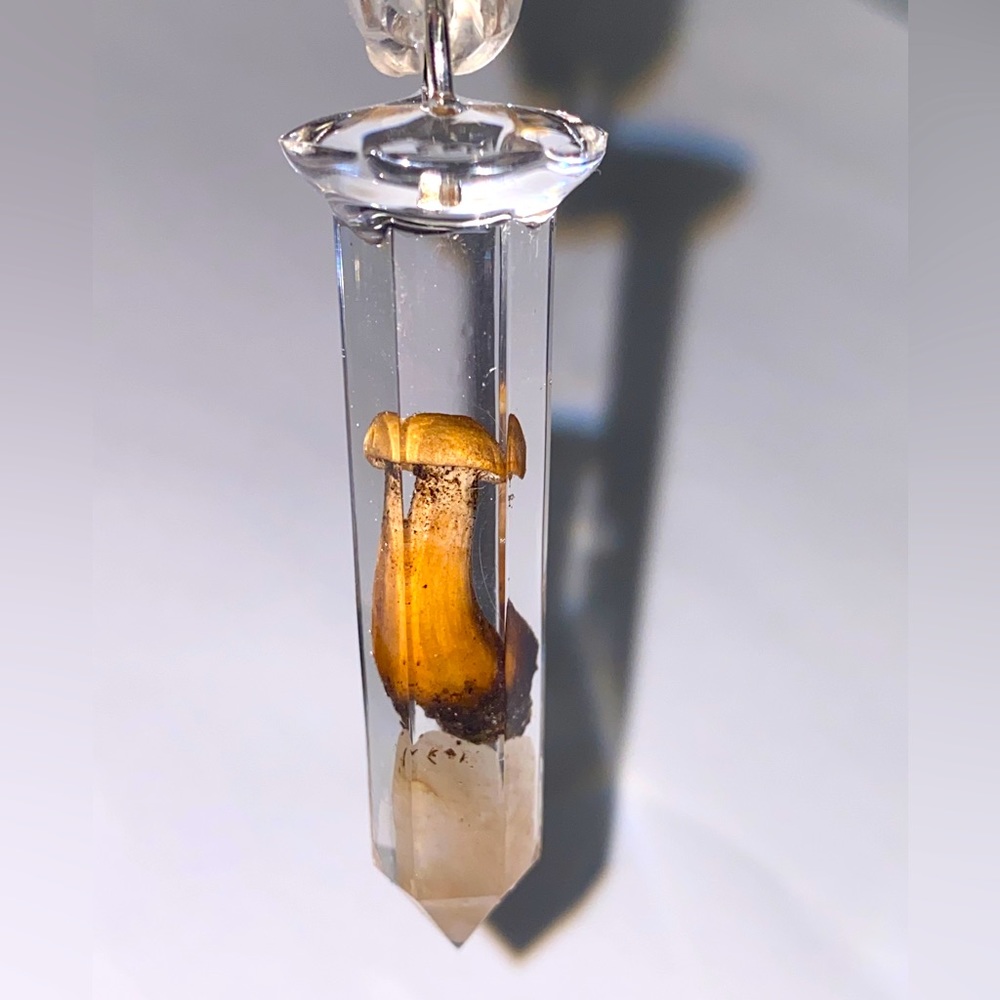 Cute little light brown mushroom on top a peachy piece of calcite.